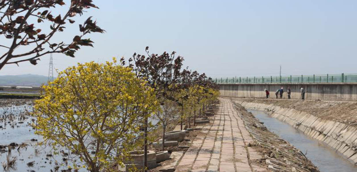 田間小路